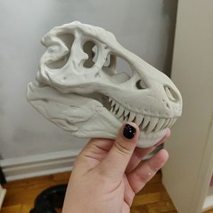 T-Rex skull